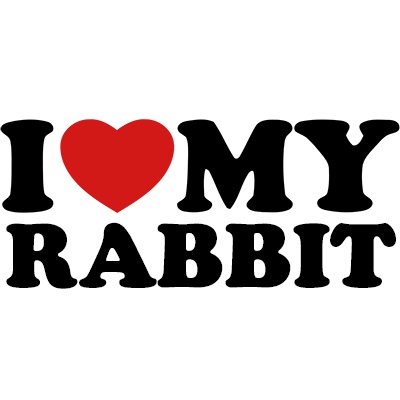 I love my rabbit